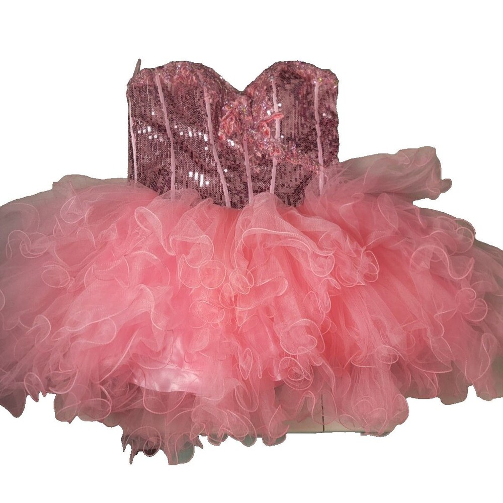 Aspeed Pink PrincessCore FairyCore Corset Tutu Dress Tulle Size 2X - Picture 2 of 16